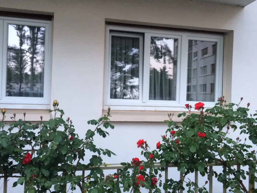 Fenêtre PVC sur mesure - réalisation Lyon (Auvergne-Rhône-Alpes)