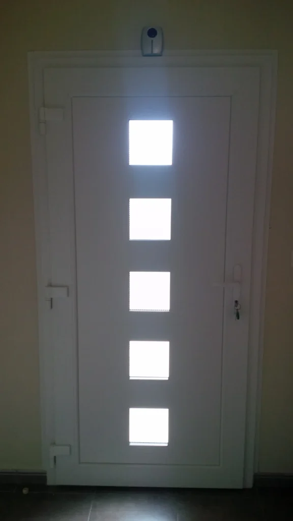 Porte d’entrée sur mesure - réalisation Bordeaux (Nouvelle-Aquitaine)